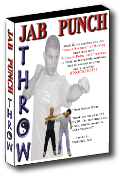 Mark Kline Kyusho Boxing